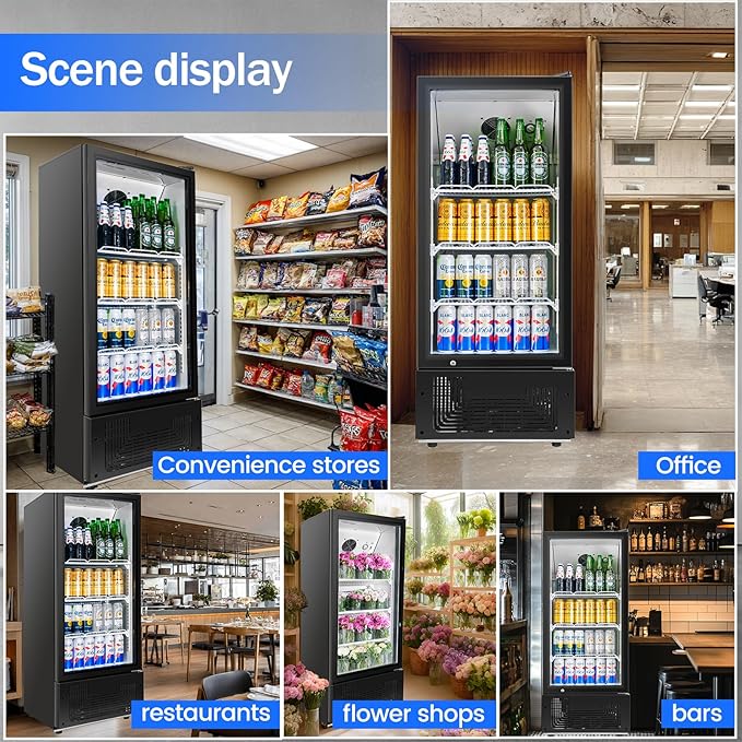 6.5 Cu.Ft Commercial Beverage Refrigerator Glass Door Upright Drink Cooler Display Fridge with Adjustable Shelves and LED Light for Restaurant Bar Store Office-DeskLoop Office