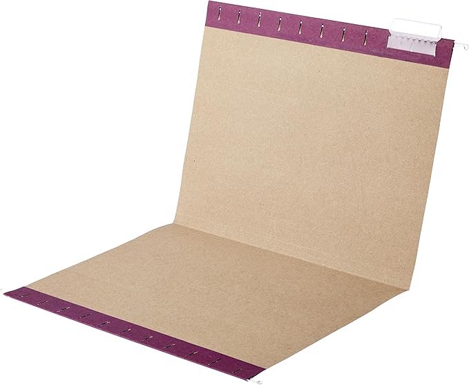 Amazon Basics Hanging File Folders, Sturdy, Letter Size, 25-Pack, Assorted Jewel-tone Colors-DeskLoop Office