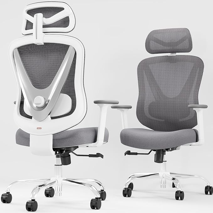 Ergonomic Mesh Office Chair - 3D Adjustable Lumbar Support & 3D Armrests, V-Shaped Back, Adjustable Desk Chair for Office & Home, White-DeskLoop Office