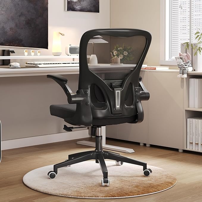 Desk Office Chairs Computer Mesh Chair Executive Chair with Lumbar for Home & Office (05Blcak)-DeskLoop Office