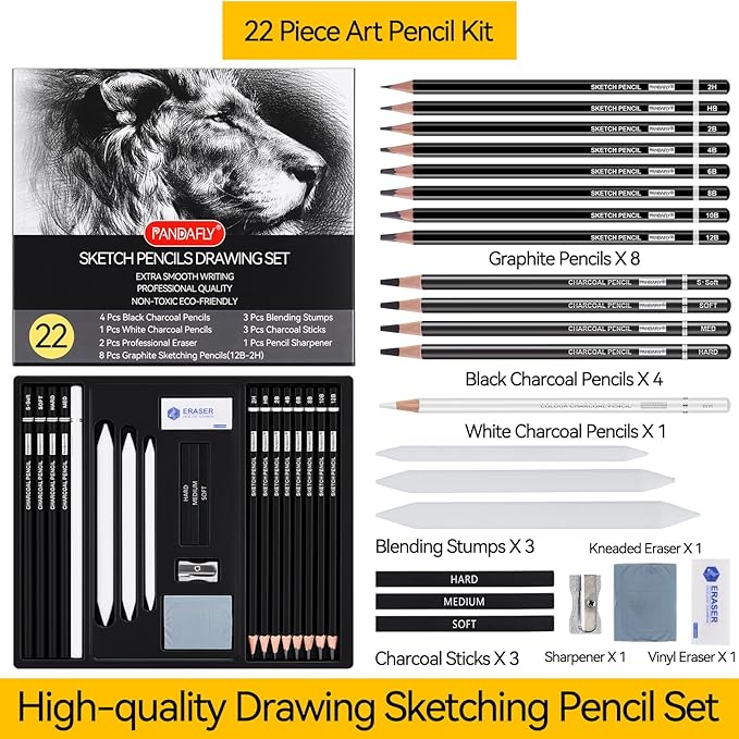PANDAFLY Drawing Sketching Pencil Set, 22 Piece Pro Art Pencil Kit - Graphite Pencils (12B-2H), Black and White Charcoal Pencils, Charcoal Sticks, Stumps, Eraser, Sharpeners-DeskLoop Office