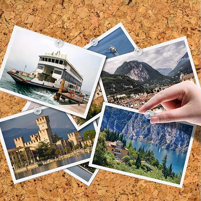 Lunies 200 Pcs Clear Push Pins, Plastic Thumb Tacks for Wall, Wall Tacks for Hanging, Standard Clear Plastic Head and Steel Point Push Pins for Cork Board-DeskLoop Office