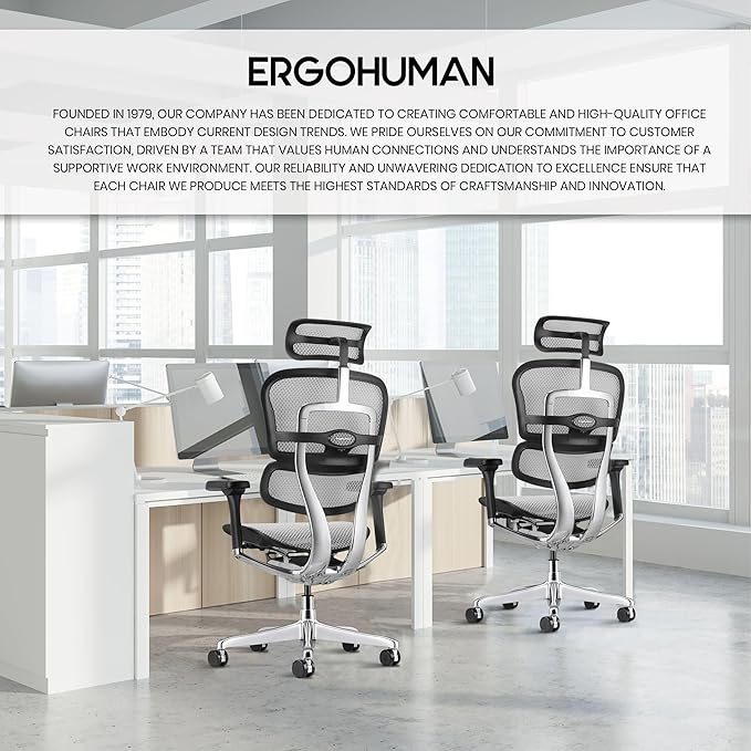 Ergohuman Eurotech ME7ERG GEN2 High Back Mesh Office Chair with Tilt Tension Control, Tilt Lock, Back Angle, Back Height, Synchro Tilt, Seat Height, Seat Depth, and Arm Height Adjustments, Grey-DeskLoop Office