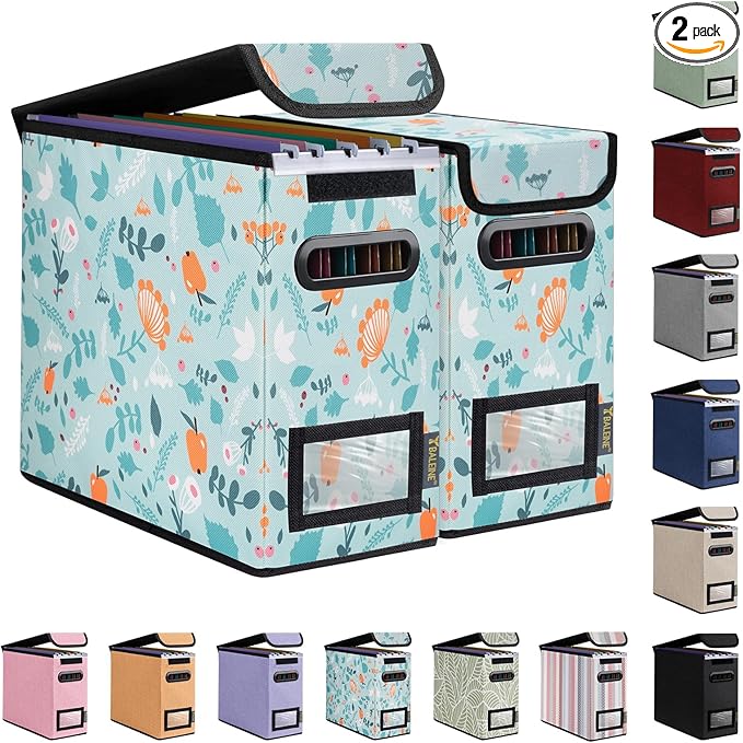 BALEINE File Organizer Box with Lid, Collapsible File Folder Organizer with Plastic Slide, Hanging File Folder Box for Office Document Storage (2 Pack, Spring Stroll, S)-DeskLoop Office