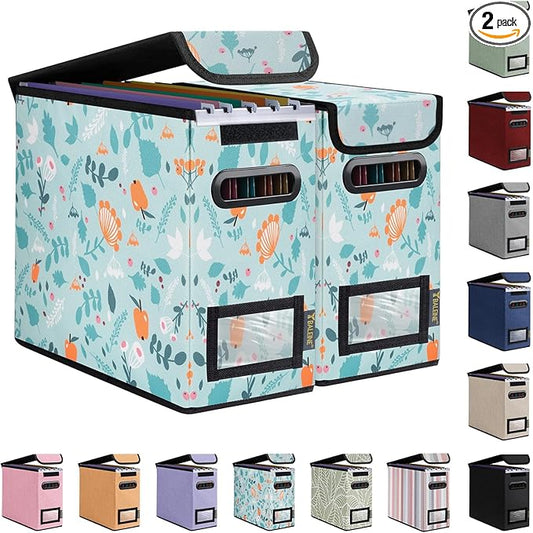 BALEINE File Organizer Box with Lid, Collapsible File Folder Organizer with Plastic Slide, Hanging File Folder Box for Office Document Storage (2 Pack, Spring Stroll, S)-DeskLoop Office