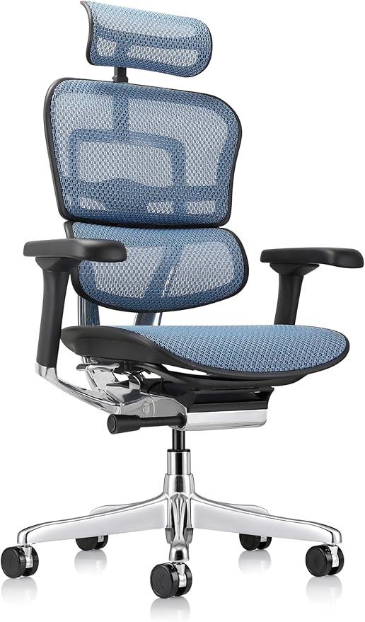 Ergohuman Eurotech ME7ERG GEN2 High Back Mesh Office Chair with Tilt Tension Control, Tilt Lock, Back Angle, Back Height, Synchro Tilt, Seat Height, Seat Depth, and Arm Height Adjustments, Blue-DeskLoop Office