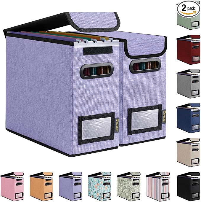 BALEINE File Organizer Box with Lid, Collapsible File Folder Organizer with Plastic Slide, Hanging File Folder Box for Office Document Storage (2 Pack, Purple, S)-DeskLoop Office