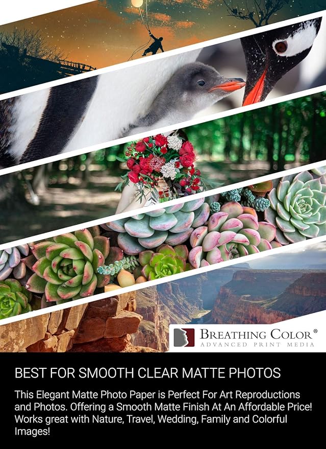 Vibrance Matte Photo Printer Paper 12 mil 230 gsm Matte Finish Premium Photo Paper Roll on 3in Core 10 inches x 100 ft Works with Most Inkjet Printer Professional Makes and Models Like Epson Canon HP-DeskLoop Office