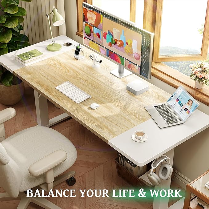 SIAGO Electric Standing Desk Adjustable - 55 x 24 Inch Sit Stand up Desk with Cable Management - 3 Memory Preset Adjustable Height Table-DeskLoop Office