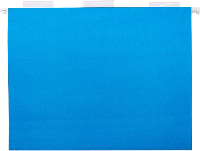 Amazon Basics Hanging Organizer File Folders for Efficient Filing, Assorted Colors, Letter Size (Pack of 25)-DeskLoop Office