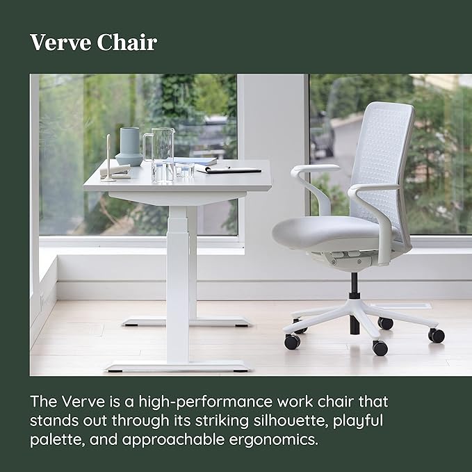 Branch Verve Chair - High Performance Executive Office Chair with Contoured Seat Back and Adjustable Lumbar Rest - High Density Foam Cushion with Aluminum Base - Up to 275 lbs - Mist-DeskLoop Office