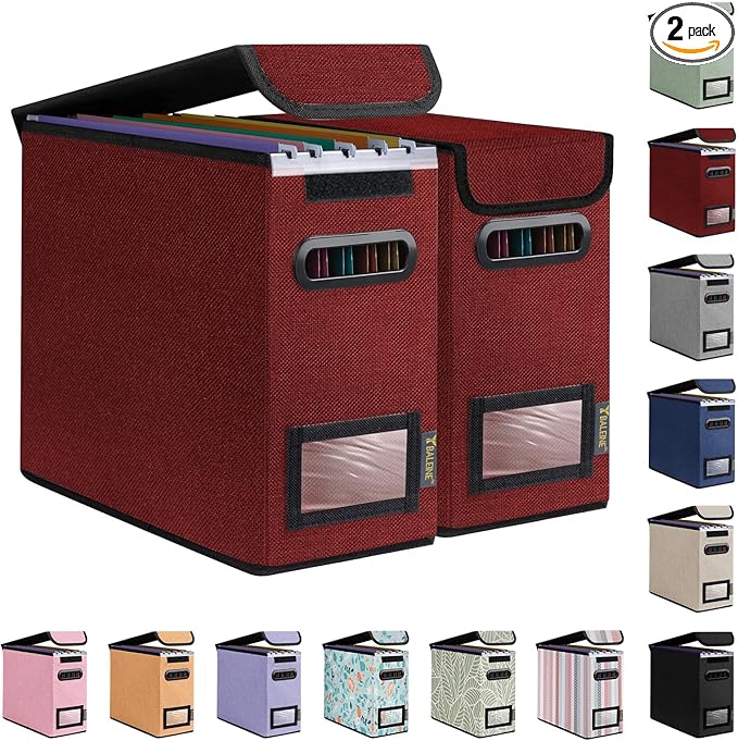BALEINE File Organizer Box with Lid, Collapsible File Folder Organizer with Plastic Slide, Hanging File Folder Box for Office Document Storage (2 Pack, Red, S)-DeskLoop Office
