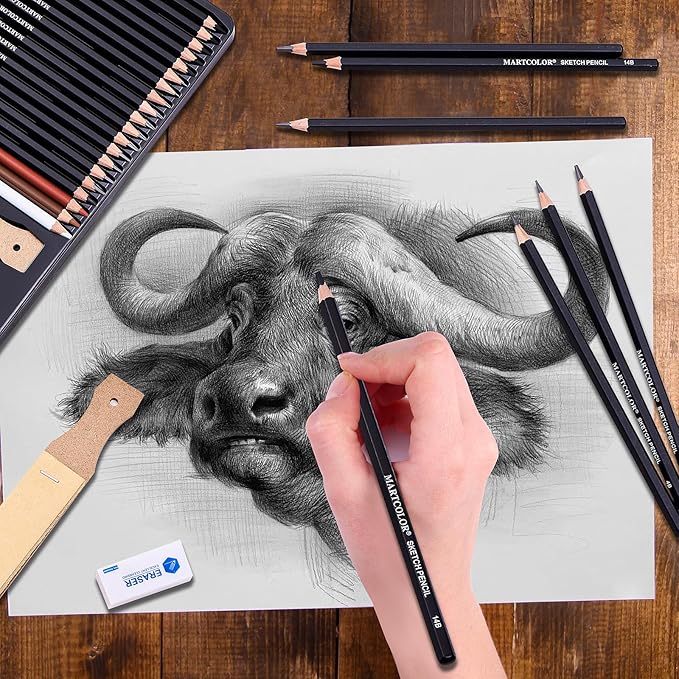 Drawing Sketching Pencils Set, 34 Pieces Pro Art Pencil Kit - Graphite Pencils (14B-4H), Charcoal Pencils, Charcoal Sticks, Artist Pencils for Beginners & Pro Artists-DeskLoop Office