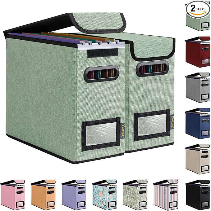 BALEINE File Organizer Box with Lid, Collapsible File Folder Organizer with Plastic Slide, Hanging File Folder Box for Office Document Storage (2 Pack, Green, S)-DeskLoop Office