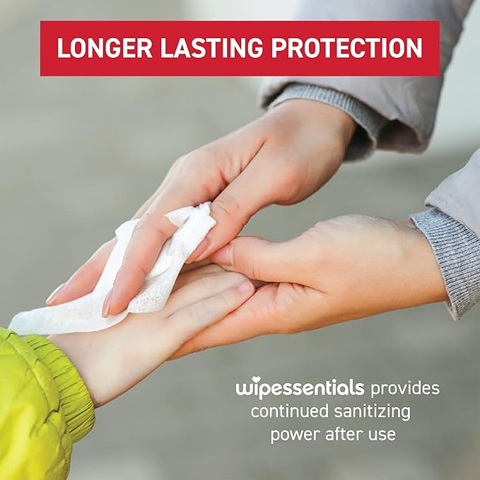 WipeEssentials Hand Sanitizer Wipes, Hand Wipes for Adults and Kids - 360 wipes - 12 Packs of 30ct Hand Sanitizing Wipes, Travel Essentials-DeskLoop Office