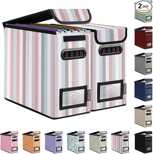 BALEINE File Organizer Box with Lid, Collapsible File Folder Organizer with Plastic Slide, Hanging File Folder Box for Office Document Storage (2 Pack, Color Stripe, S)-DeskLoop Office