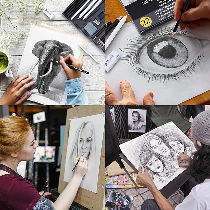 PANDAFLY Drawing Sketching Pencil Set, 22 Piece Pro Art Pencil Kit - Graphite Pencils (12B-2H), Black and White Charcoal Pencils, Charcoal Sticks, Stumps, Eraser, Sharpeners-DeskLoop Office