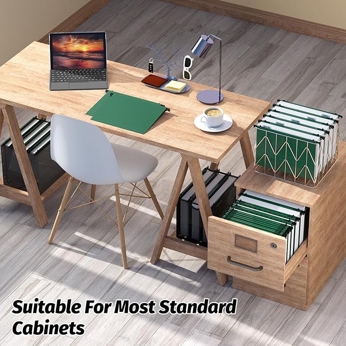 Plastic Hanging File Folders,Letter Size,Reinforced Hang Folders,Standard File Folders for Filing Cabinet,Plastic Hanging Folders,1/5-Cut Tabs,Designed for Home and Office,Green,12 Pack-DeskLoop Office