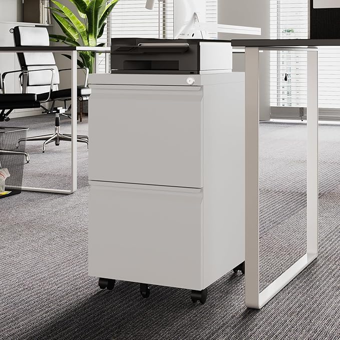 Letaya 2 Drawer Mobile File Cabinet with Lock,Under Desk Metal Filing Cabinets for Home Office Organizer Letters/Legal/A4(White-Requires Installation)-DeskLoop Office