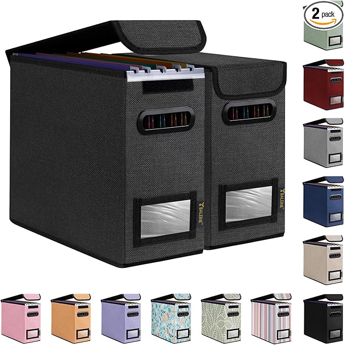 BALEINE File Organizer Box with Lid, Collapsible File Folder Organizer with Plastic Slide, Hanging File Folder Box for Office Document Storage (2 Pack, Black, S)-DeskLoop Office