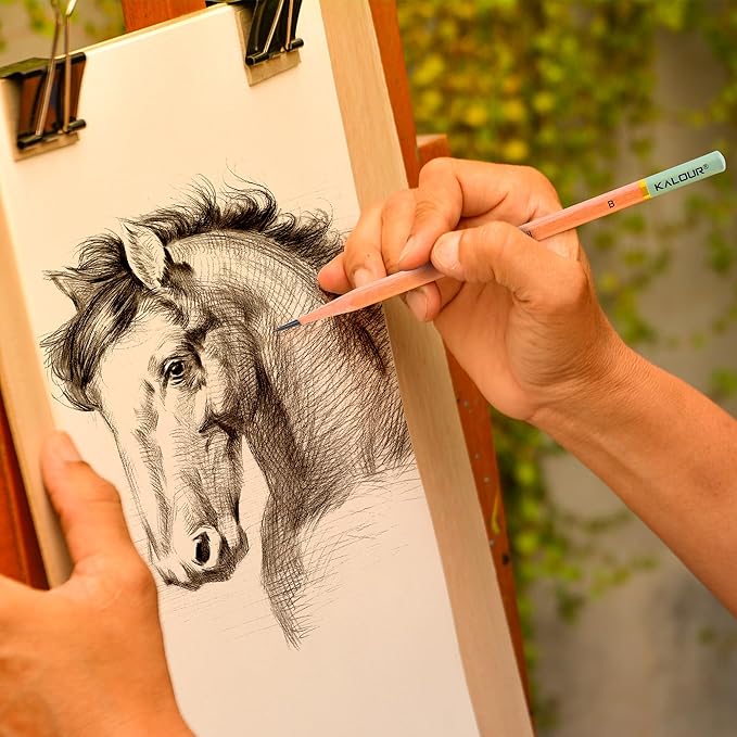 KALOUR 18-Piece Professional Sketch Pencil Set - Includes 5H to 14B Pencils, Vinyl Eraser, Kneaded Eraser,Sharpener and Paper Blending Stump - Ideal for Artists and Beginners-DeskLoop Office