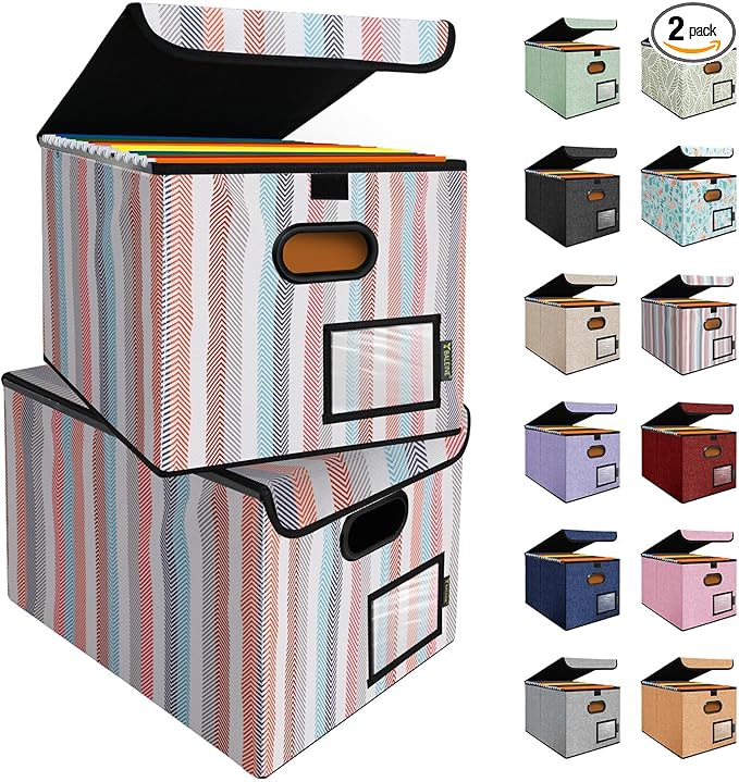 BALEINE File Organizer Box with Lid, Collapsible File Folder Organizer with Plastic Slide, Hanging File Folder Box for Office Document Storage (2 Pack, Color Stripe)-DeskLoop Office