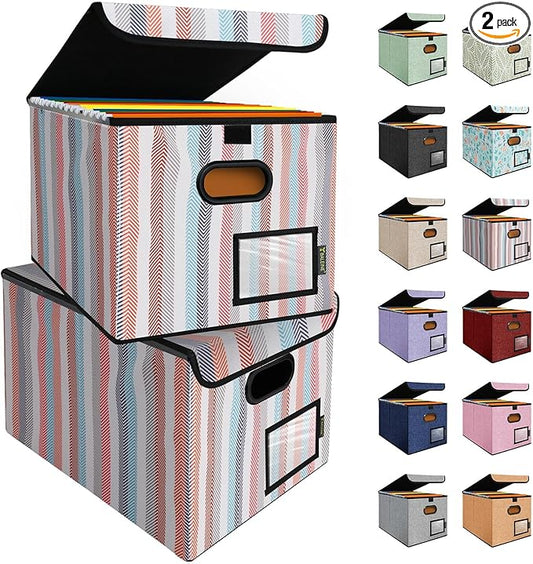 BALEINE File Organizer Box with Lid, Collapsible File Folder Organizer with Plastic Slide, Hanging File Folder Box for Office Document Storage (2 Pack, Color Stripe)-DeskLoop Office