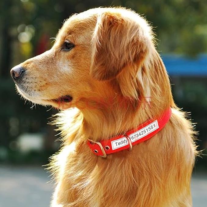 10 Pack Label Maker Tape Replacement for TZe-231 TZe231 Laminated White P Touch Label Tape, 12mm x 8m, Black on White, Compatible with Brother P Touch Label Maker PTD210 PT-H110 PT-D400-DeskLoop Office