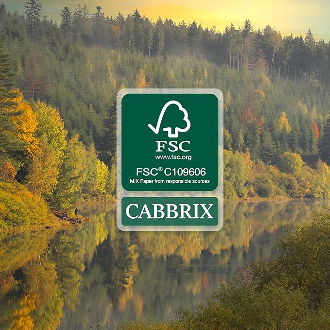 Cabbrix Desk Calendar 2025-2026 with Desktop Mat, Simple Desk Pad Calendar 15 x 12 Inch Include July 2025 to June 2026, Desk Blotter Calendar for Home School and Office-DeskLoop Office