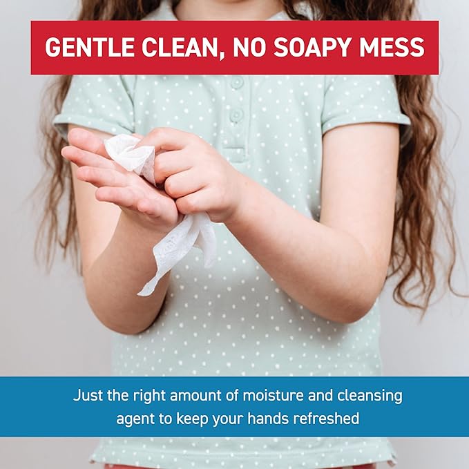 WipeEssentials Hand Sanitizer Wipes, Hand Wipes for Adults and Kids - 360 wipes - 12 Packs of 30ct Hand Sanitizing Wipes, Travel Essentials-DeskLoop Office