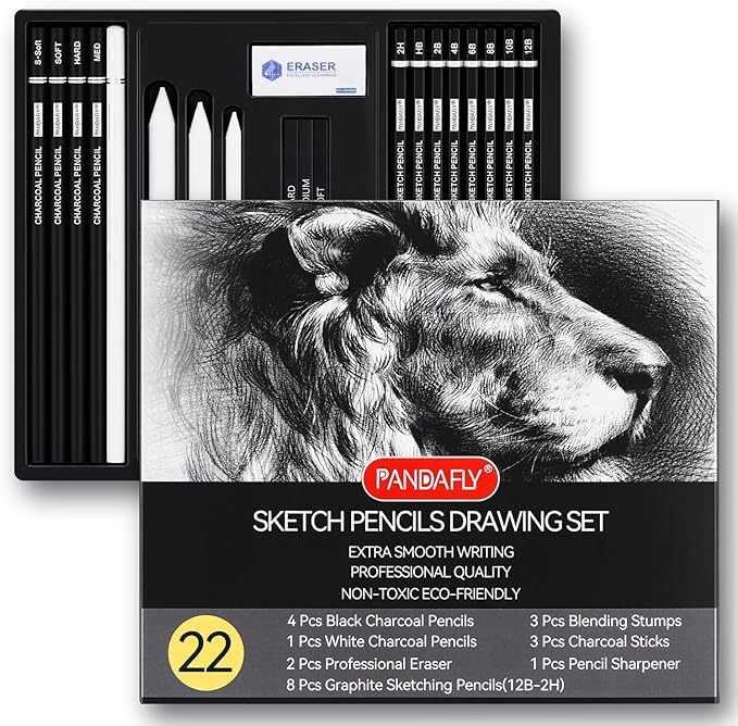 PANDAFLY Drawing Sketching Pencil Set, 22 Piece Pro Art Pencil Kit - Graphite Pencils (12B-2H), Black and White Charcoal Pencils, Charcoal Sticks, Stumps, Eraser, Sharpeners-DeskLoop Office
