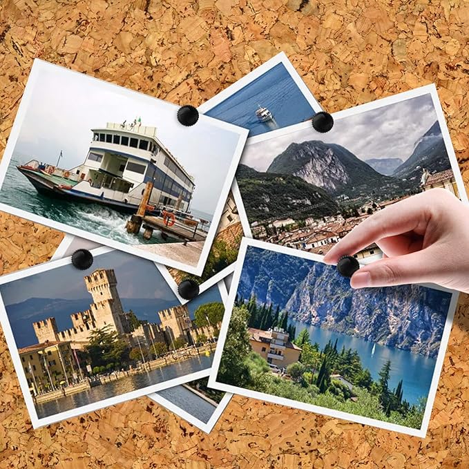 Lunies 50 PCS Black Push Pins for Cork Board, Thumb Tacks for Wall Hangings, Picture Hanging Nails, Flat Decorative Push Pins for Wall, Wall Pins for Hanging-DeskLoop Office