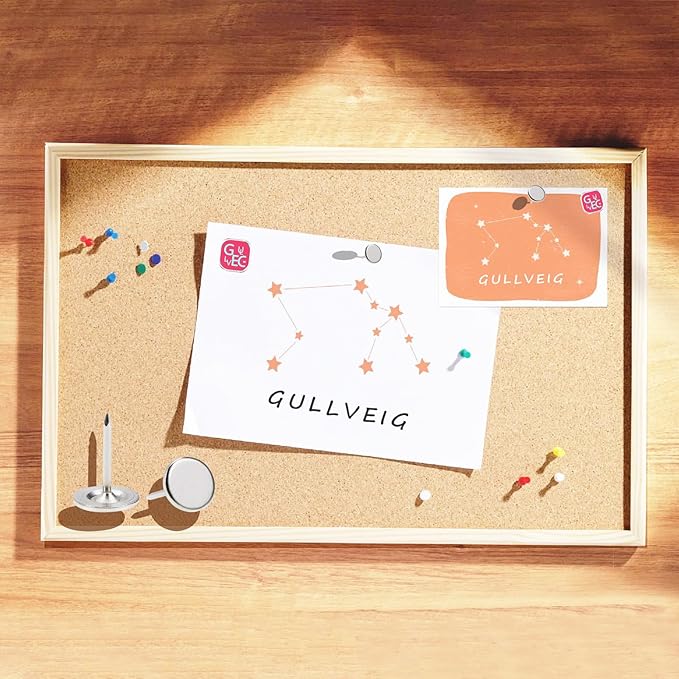 Gullveig Silver Push Pins and Thumb Tacks: Heavy Duty Flat Upholstery, Long Carpet Tacks, and Decorative Nails for Wood and Fabric, 50 Count-DeskLoop Office