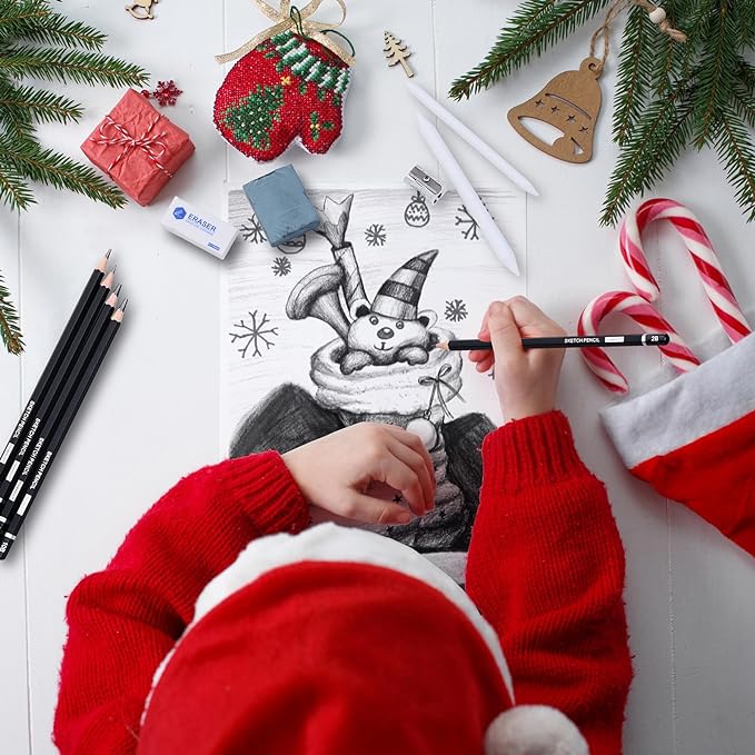 PANDAFLY Drawing Sketching Pencil Set, 22 Piece Pro Art Pencil Kit - Graphite Pencils (12B-2H), Black and White Charcoal Pencils, Charcoal Sticks, Stumps, Eraser, Sharpeners-DeskLoop Office