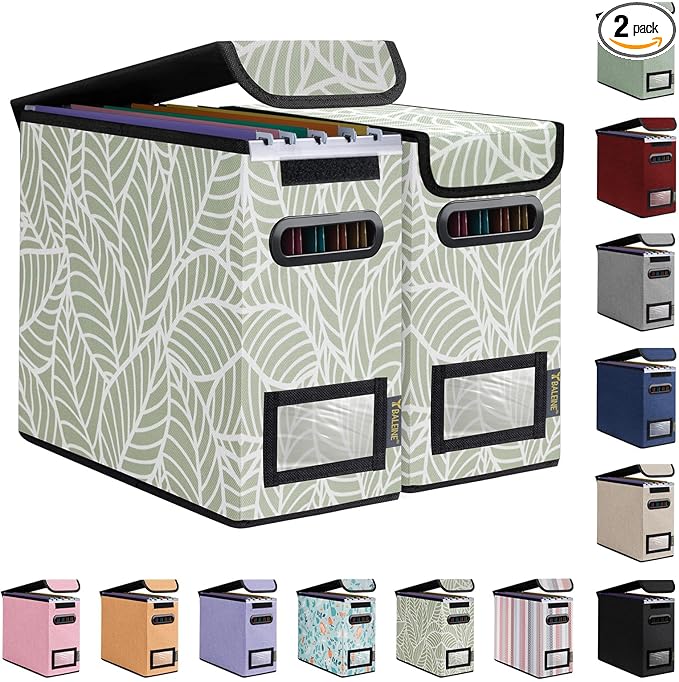 BALEINE File Organizer Box with Lid, Collapsible File Folder Organizer with Plastic Slide, Hanging File Folder Box for Office Document Storage (2 Pack, Antique Foliage, S)-DeskLoop Office