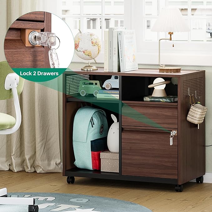 Letaya Mobile 2 Drawer File Cabinet with Lock, Metal Lateral Printer Stand Filing Storage Cabinets with Shelves for Home Office-A4/F4/Letter (Charging Socket)-DeskLoop Office