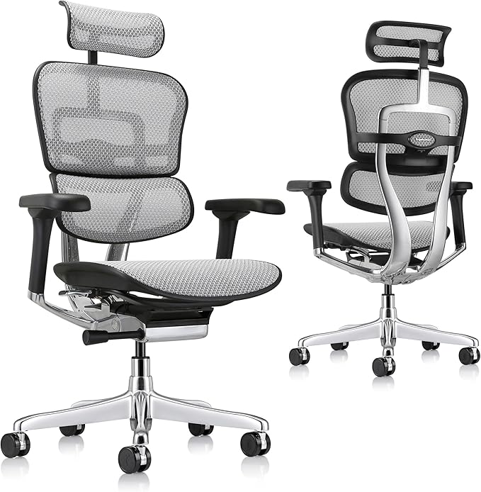 Ergohuman Eurotech ME7ERG GEN2 High Back Mesh Office Chair with Tilt Tension Control, Tilt Lock, Back Angle, Back Height, Synchro Tilt, Seat Height, Seat Depth, and Arm Height Adjustments, Grey-DeskLoop Office