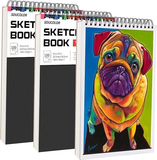 Soucolor Art and Craft Paper for Kids Adults Artists Doodles, School Projects & Home Painting, 9"x12" Bulk Sketch Books 3-Pack (100 Sheets Each) | Spiral Bound Drawing Paper Acid Free (68lb/100gsm)-DeskLoop Office