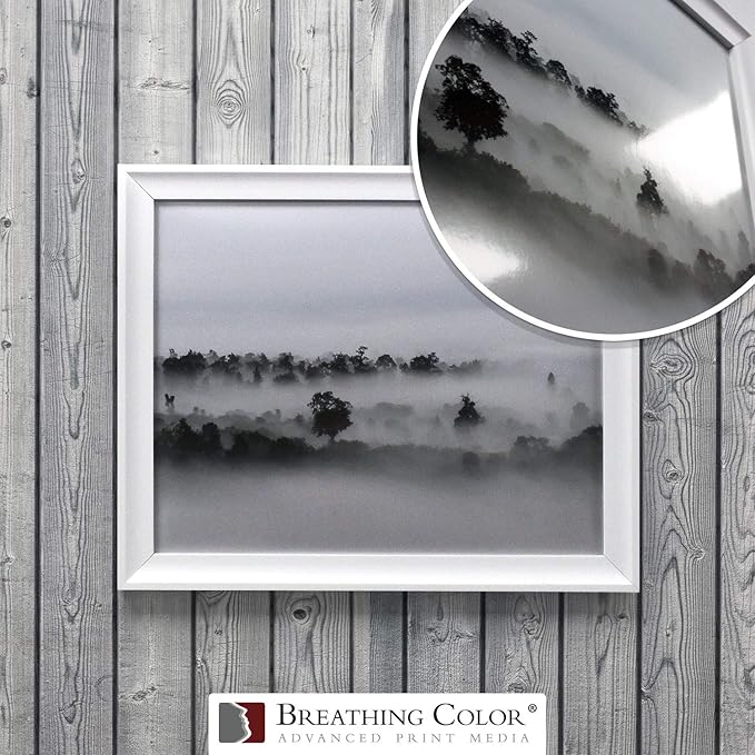 Vibrance Metallic Photo Printer Paper 10 mil 255 gsm Premium Photo Paper Sheets 17 x 22 inches 50 Sheets Works with All Inkjet Printers Including Professional Makes and Models Like Epson Canon HP-DeskLoop Office