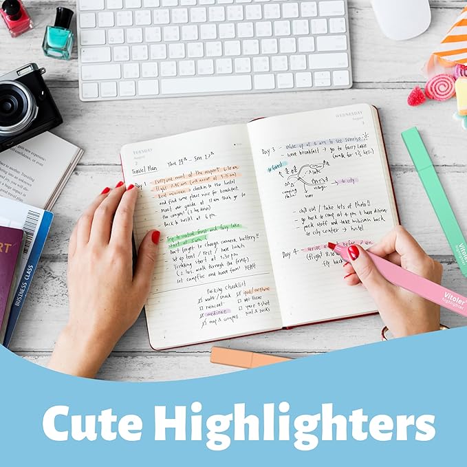 Highlighters,10Pcs Bible Highlighters,Chisel Tip Bible Markers,Pastel Purple Highlighter for Journaling Planner Notes School Supplies, assorted colors no bleed Pens-DeskLoop Office