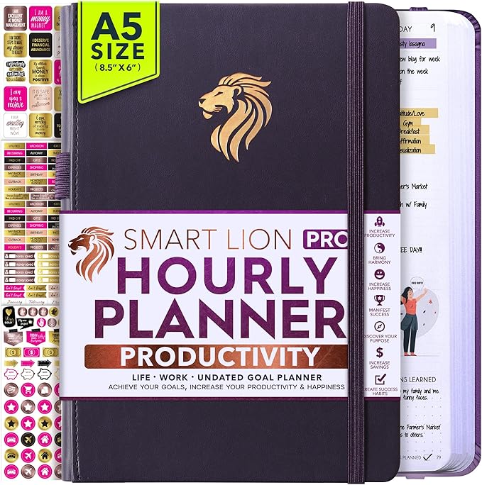 Hourly Planner - Undated Daily, Weekly & Monthly Planner with Budget Section | A 12 Month Journey to Increase Productivity & Happiness | Life Organizer & Gratitude Journal - Vertical Format-DeskLoop Office