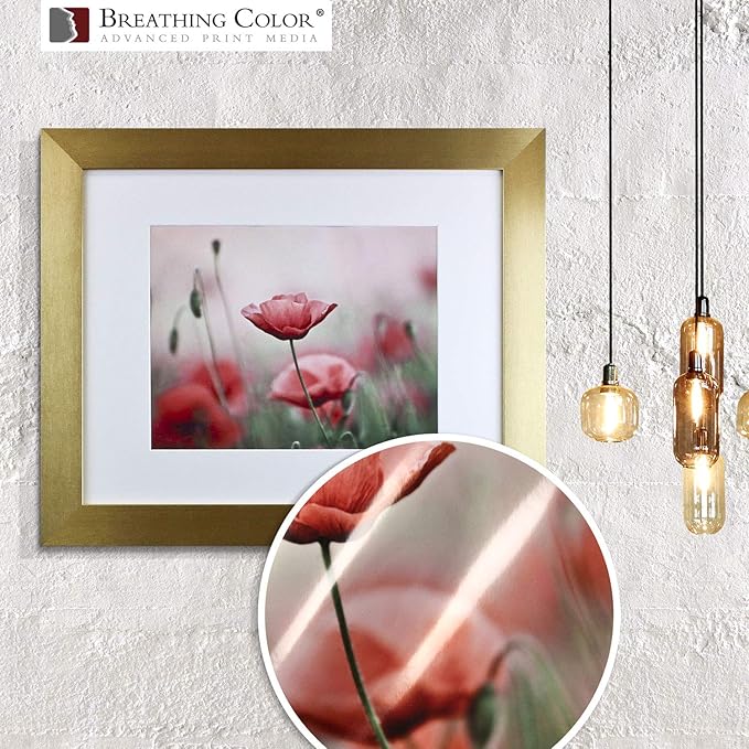 Vibrance Metallic Photo Printer Paper 10 mil 255 gsm Premium Photo Paper Roll 3in Core 44 inches x 100 feet Works with Most Inkjet Printers Including Professional Makes and Models Like Epson Canon HP-DeskLoop Office