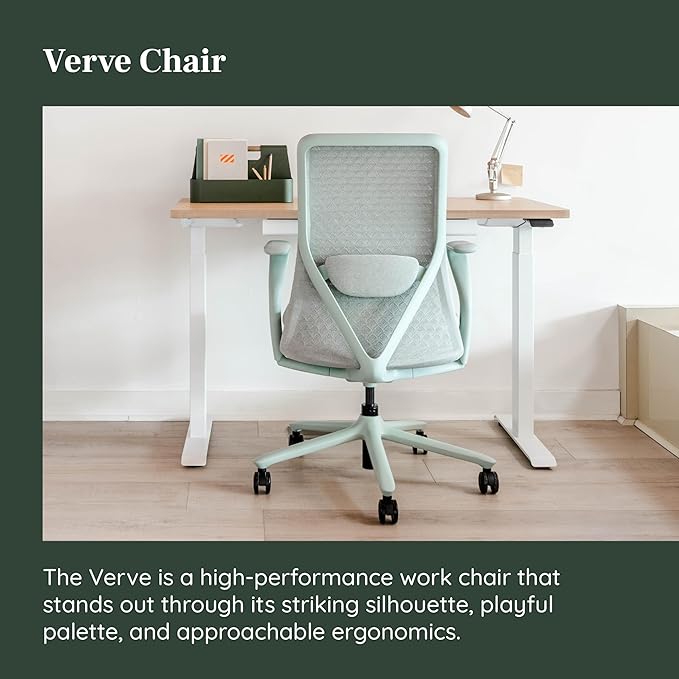 Branch Verve Chair - High Performance Executive Office Chair with Contoured Seat Back and Adjustable Lumbar Rest - High Density Foam Cushion with Aluminum Base - Up to 275 lbs - Mint-DeskLoop Office