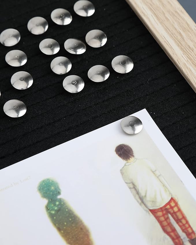 PAPERPAL 500 Standard Thumbtacks for Cork Board, Flat Thumb Tacks for Posters, Bulletin Board Tacks, Metal Pushpins for Office School & Personal Use-DeskLoop Office