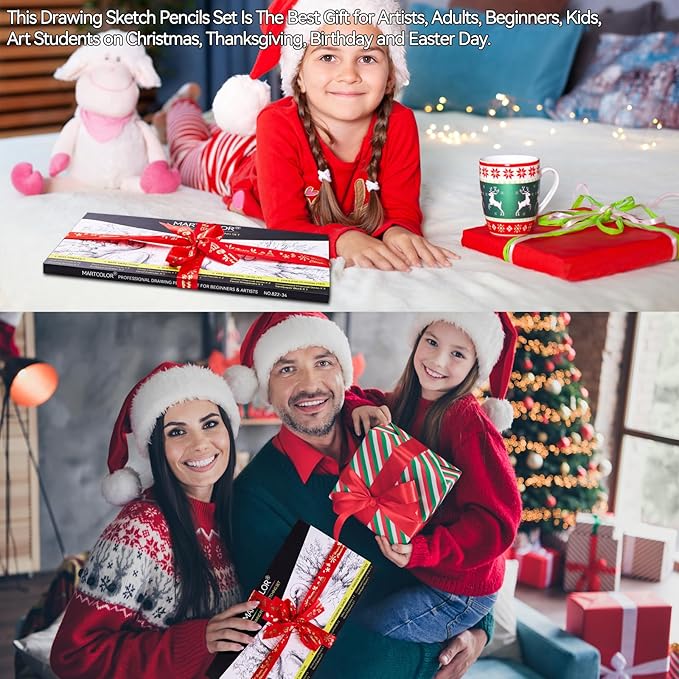 Drawing Sketching Pencils Set, 34 Pieces Pro Art Pencil Kit - Graphite Pencils (14B-4H), Charcoal Pencils, Charcoal Sticks, Artist Pencils for Beginners & Pro Artists-DeskLoop Office