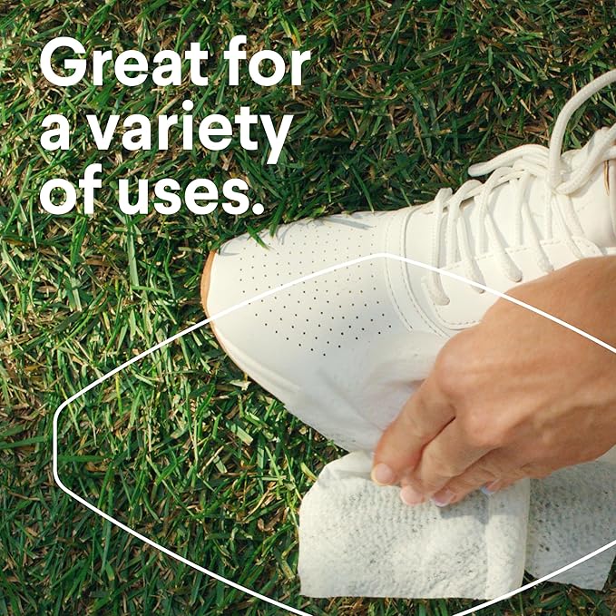 Clorox Disinfecting Wipes Value Pack, Bleach Free Cleaning Wipes, Dorm Room Essentials, 75 Count Each, Pack of 4-DeskLoop Office