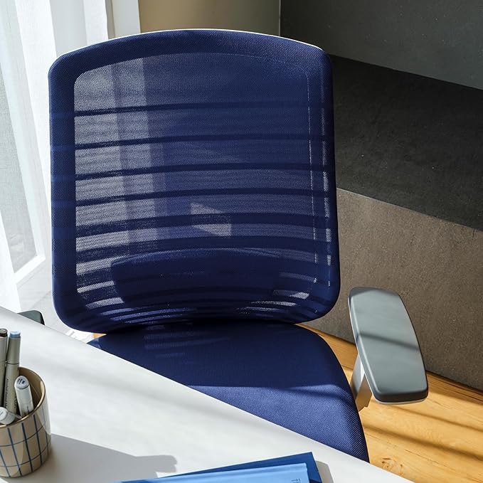 Branch Ergonomic Chair - A Versatile Desk Chair with Adjustable Lumbar Support, Breathable Mesh Backrest, and Smooth Wheels - Experience Optimal Comfort and Support - Baltic-DeskLoop Office