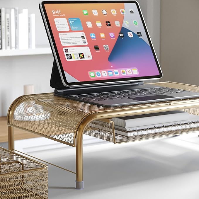 Martha Stewart Ryder Gold Mesh Metal Desktop Monitor Stand Riser with Organizer Drawer and Side Storage, 12.5 x 22.25 x 6.5 inches-DeskLoop Office