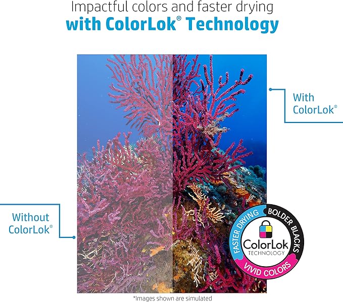 HP Papers Printer Paper, 8.5 x 11 paper, Multipurpose 20 lb - 96 Bright , 40 Cases - 1 Pallet -200,000 Sheets, Loading Dock Delivery, Made in USA - FSC Certified, 112000P-DeskLoop Office