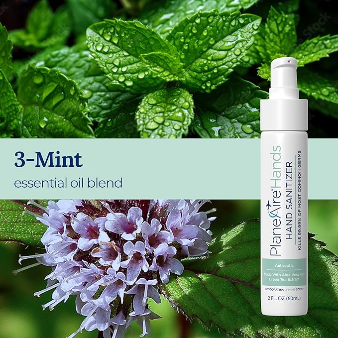 Travel Essentials | Hygiene Kit | Travel Toiletry Kit | Travel Size | Gel Hand Sanitizer 3-Mint Scent | Surface Wipes | Individual Travel Wipes | Surface Cleaner & Air Mist | Made with Essential Oils-DeskLoop Office